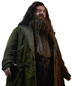 Nick Frost Harry Potter Rubeus Hagrid Coat - Image 4